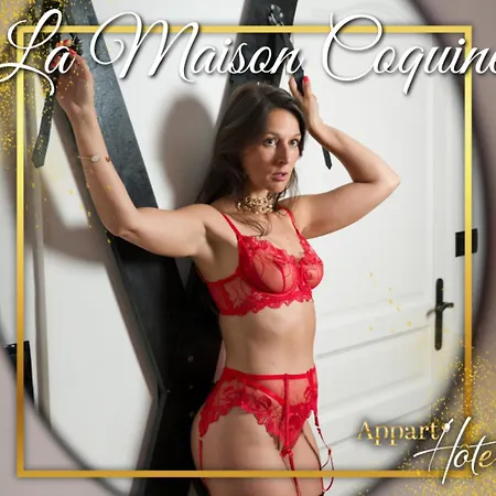 La Maison Coquine Apartment *